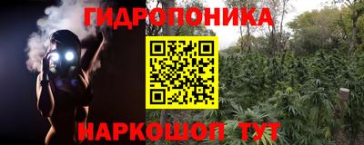 мяу мяу мука Татарск