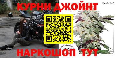 мдпв Тара