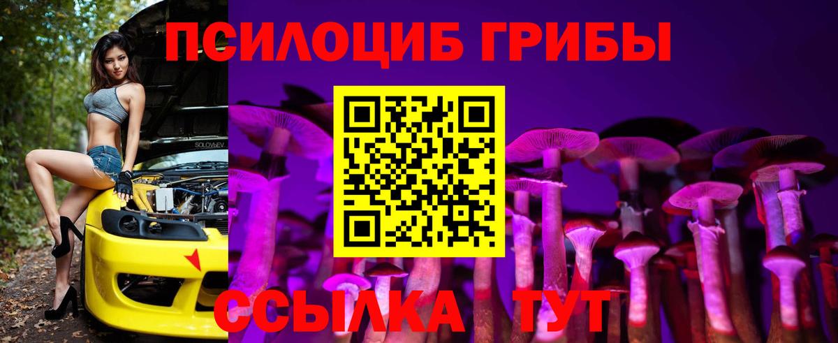 Реж  Галлюциногенные грибы мицелий  Вход с VPN  Галлюциногенные грибы прущие грибы 